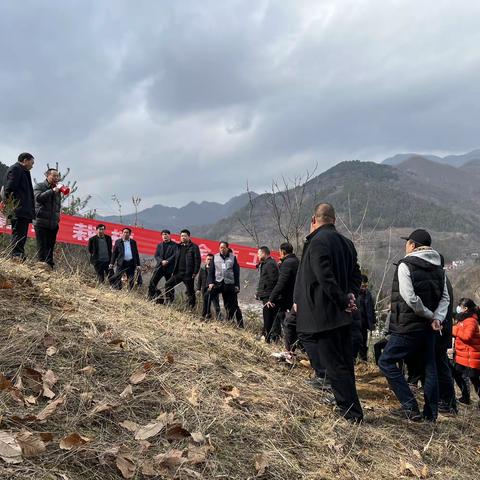 镇安县退化林修复项目现场推进会顺利召开