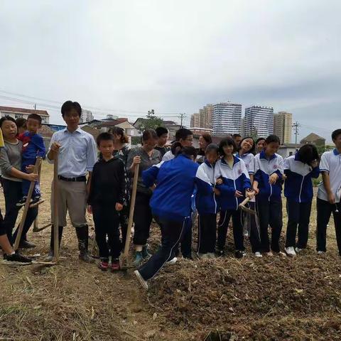 市民中230班周末劳动实践圆满完成