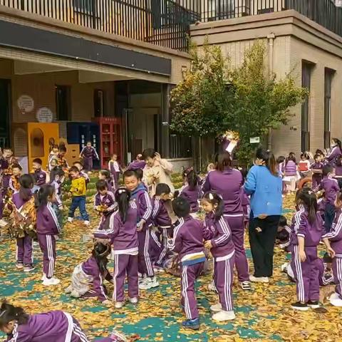 两岸幼儿园落叶雨系列活动