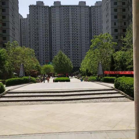 美美的家