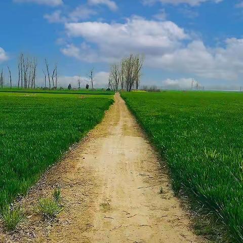 💓小丝珠妮儿💓的美篇