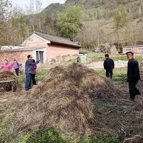 2022年4月18日，桦树村两委对唐崖和青崖，人居环境卫生整治