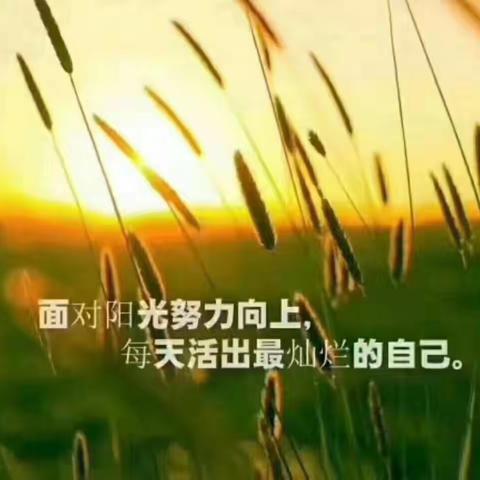 我是教师