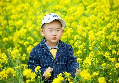 与子同游，乐在其中