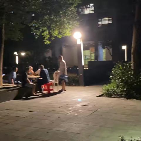 夏天村里的夜生活