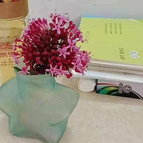 颍川长春实验学校周末作业！