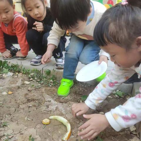 小六班四月份日常分享