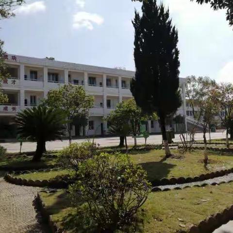 新兴小学1401班学习周报