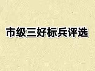 市级三好标兵评选（五年级组）新