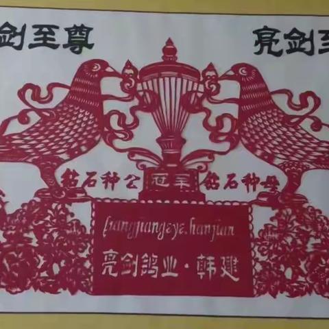 亮剑鸽业韩建                     缔造鸽界传奇