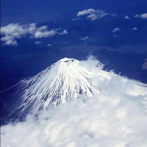 ✈️岛国日本之旅---樱花季🌸