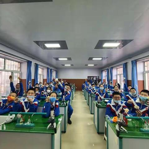 多姿多彩的趣味生物实验