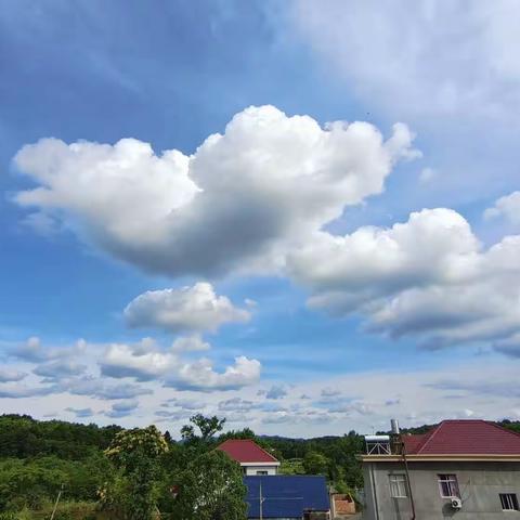 “五育并举，融合育人”——春桥小学课后服务记录