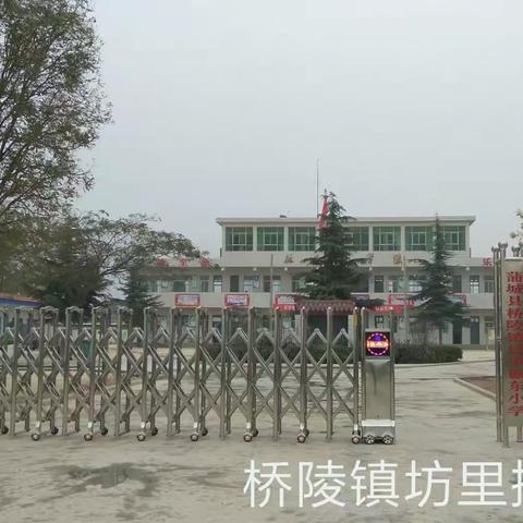 蒲城县桥陵镇坊里振东小学接受市级标化学校验收