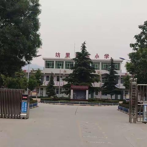 桥陵镇坊里振东小学2022年秋季招生报名公告