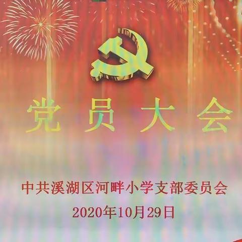 中共溪湖区河畔小学支部委员会召开换届选举党员大会