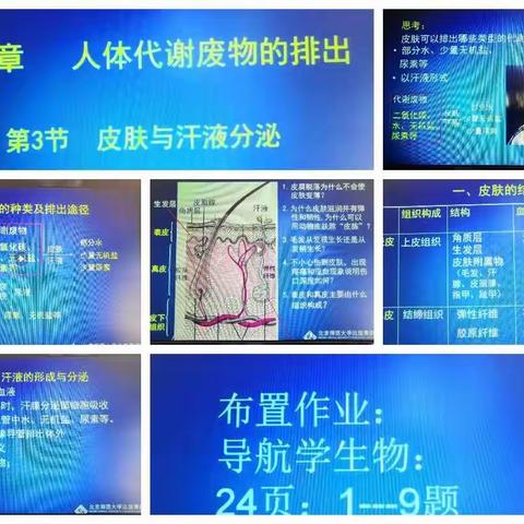 初中生物线上教学优质课评选纪实