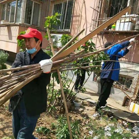 浭阳街道林苑社区携手气象局开展环境卫生整治活动，助力文明城创建