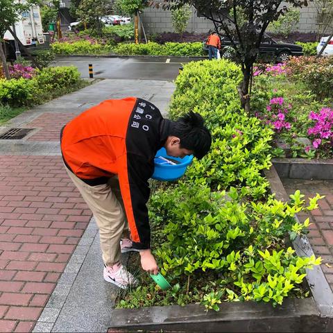 集士港镇杨家馨苑处理马陆