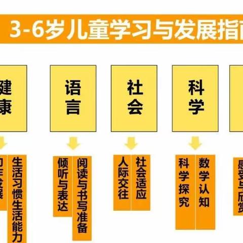 《3-6岁儿童学习与发展指南》的 学习、理解与应用