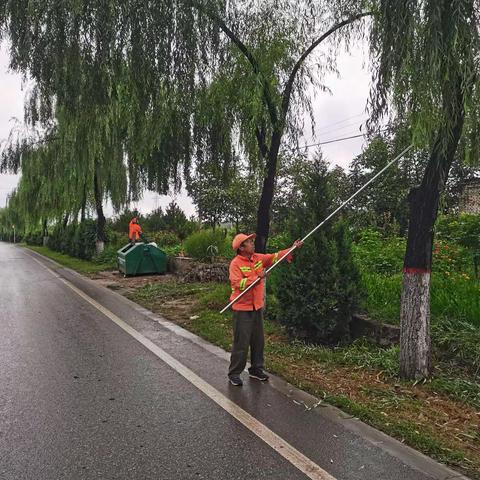 涉县交运局公路站集中开展绿植修剪，喜迎中秋佳节。