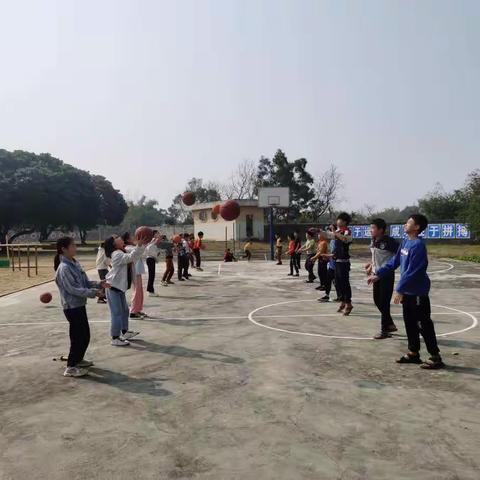 松树园小学新学期，新气象， 认真实施小学义务教育，促进基础教育发展，对学生进行德智体全面教育。