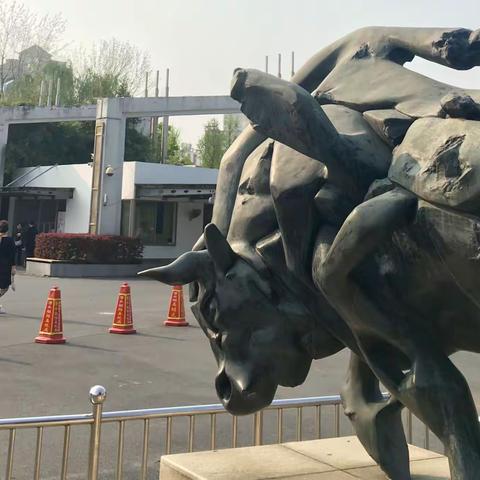 2019年大宁绿地春游