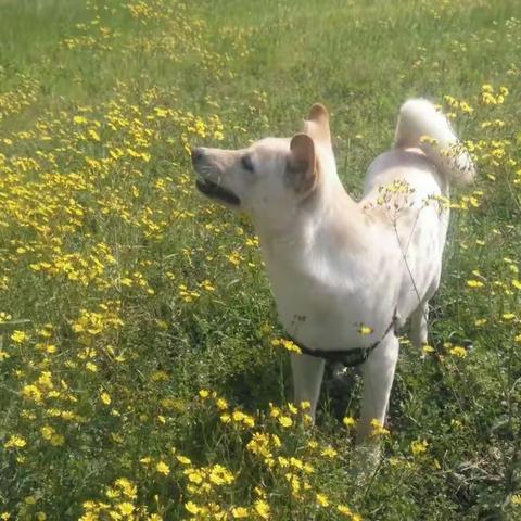 《哈里》（49）