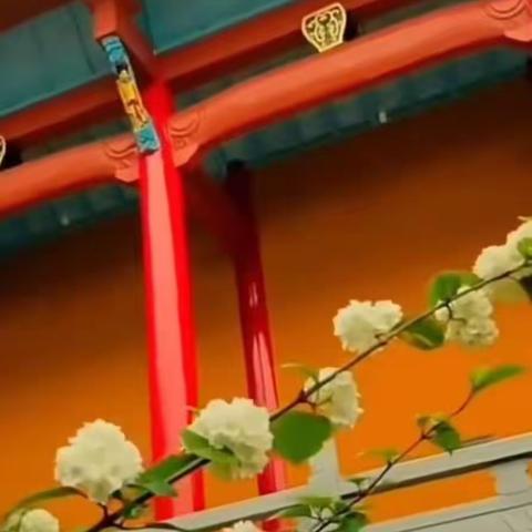 《黄山出家人》