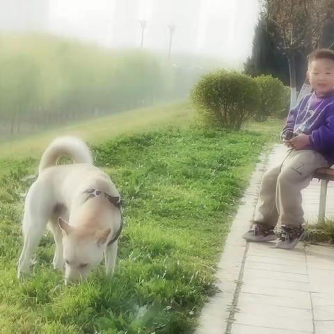 《和春天对话》