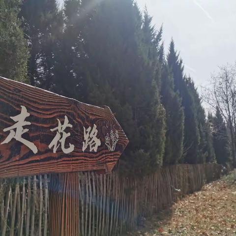 《走花路》