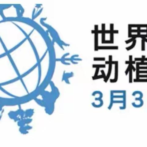 “爱护野生动物，绿色天河我先行”--天河区冼村小学三年1班植树节暨学习实践野生动物保护法律活动分享