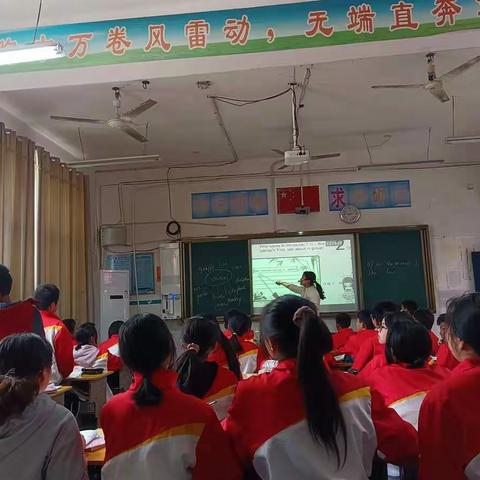 七年级英语组教研活动