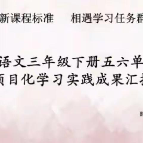 云端相聚，共同成长——大辛阁中心校北岔口小学三年级项目化教学实践活动成果汇报