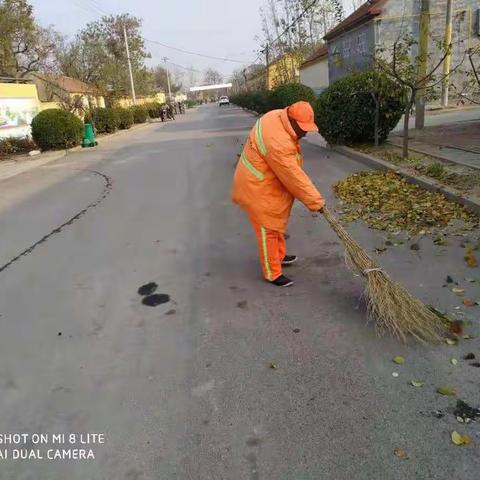 落叶清扫，日落日清