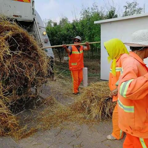 广饶县李鹊镇积极开展秸秆清理清运活动