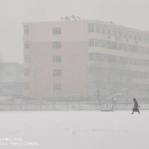 洁白无瑕落人间