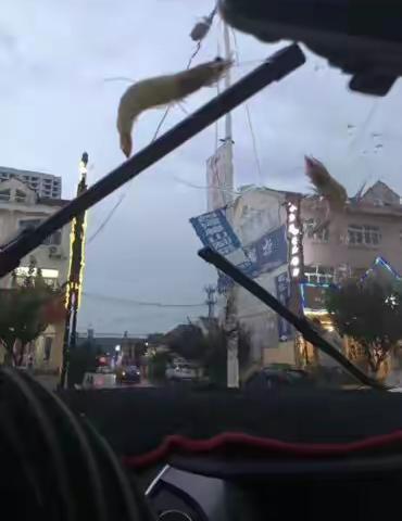 青岛的狂风暴雨☔️