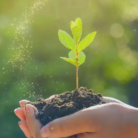 种下绿色，守护希望——郓城县义和里小学植树节活动