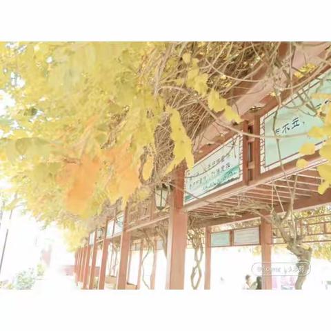 最美校园26中的初冬
