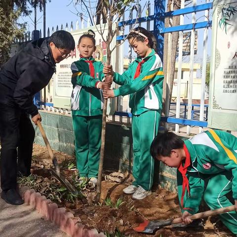 【尹庄教育】娄下小学：师生植树添新绿