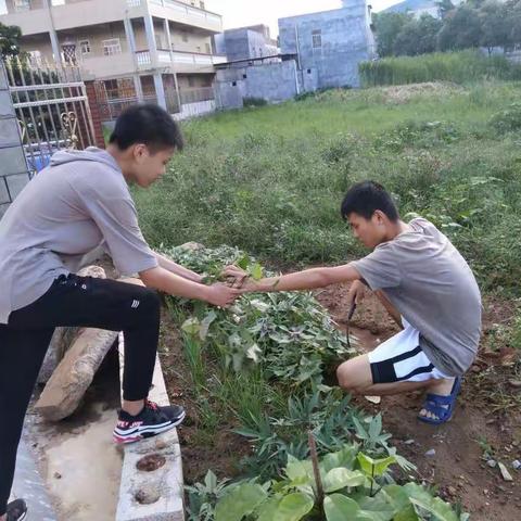 吴懿楷做晚餐的过程