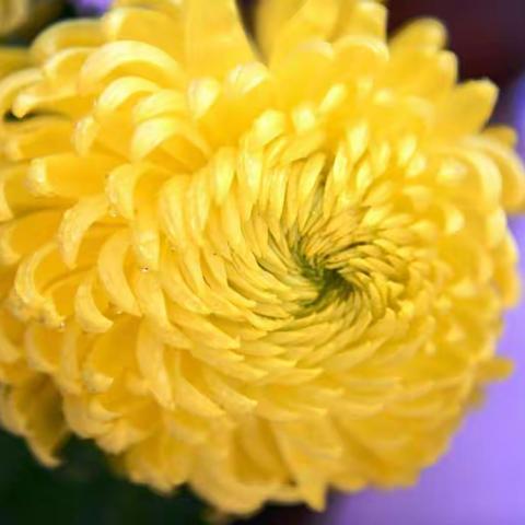 10月份班主任工作总结2.5班崔原