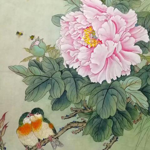 绽放