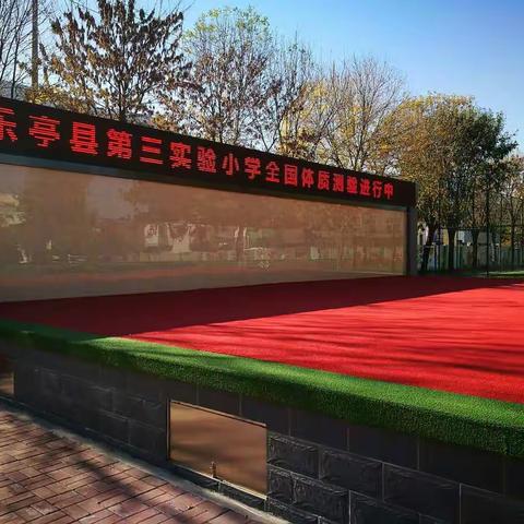 乐亭三小体质健康测试活动如火如荼进行中