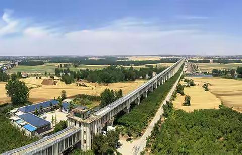 石桥镇“三夏”掠影