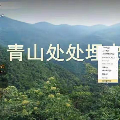 青山处处埋忠骨