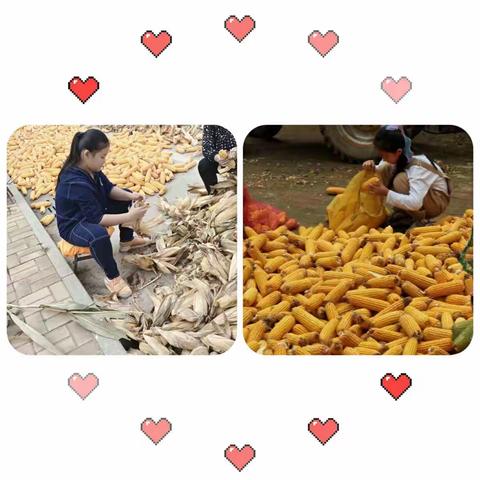 STEM教育的探索与实践