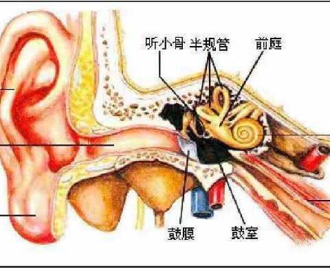 爱耳护耳，聆听美好---里则中心幼儿园大四班