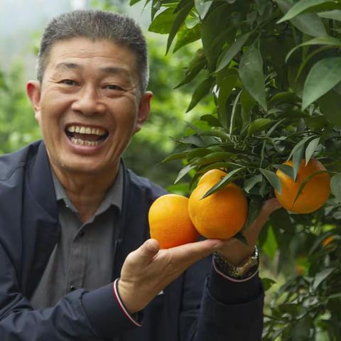 视觉观察：“女儿红”红遍秋天